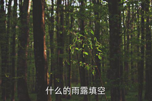 什么的雨露填空