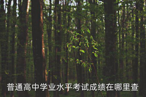 普通高中學業水平考試成績查詢，準考證號150726153230 普通高中學業水平考試查詢查成績