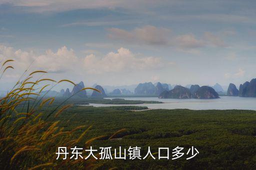 丹東大孤山鎮人口多少