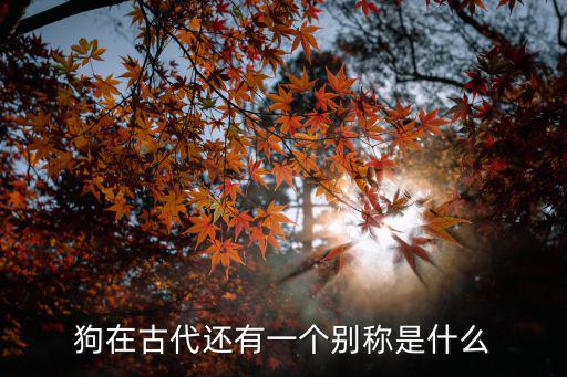 狗的別稱，狗狗的別名