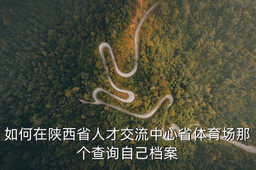 如何在陜西省人才交流中心省體育場那個查詢自己檔案