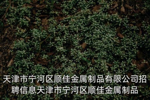 天津市寧河區順佳金屬制品有限公司招聘信息天津市寧河區順佳金屬制品