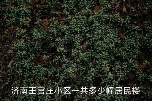 王官莊小區，山大路科技市場到王官莊小區坐幾路車