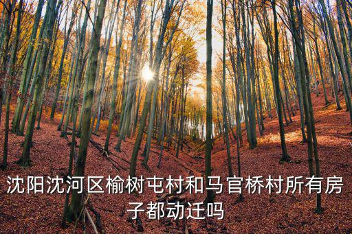 沈陽沈河區(qū)榆樹屯村和馬官橋村所有房子都動(dòng)遷嗎