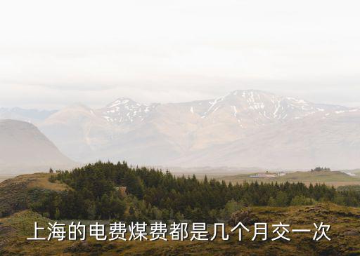 上海的電費(fèi)煤費(fèi)都是幾個(gè)月交一次
