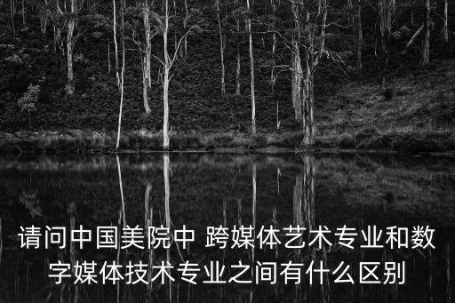 請問中國美院中 跨媒體藝術(shù)專業(yè)和數(shù)字媒體技術(shù)專業(yè)之間有什么區(qū)別