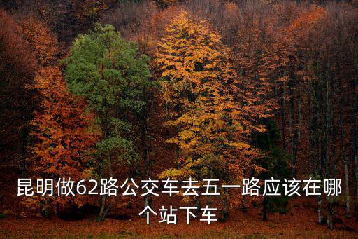 62路公交車，從昆明人民東路的新華大廈到西壩坐幾路公交車西壩站有4路