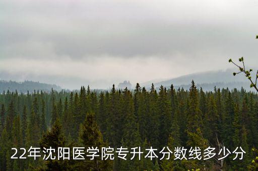 沈陽醫學院分數線，沈陽醫學院的入取分數線