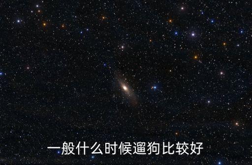 一般什么時(shí)候遛狗比較好