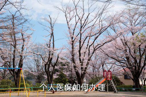 醫(yī)保辦，個(gè)人醫(yī)保如何辦理