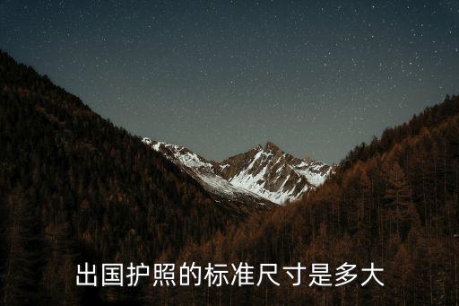 出國護照的標準尺寸是多大