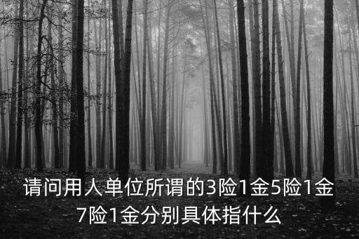 請問用人單位所謂的3險1金5險1金7險1金分別具體指什么