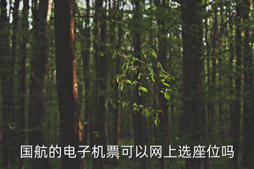 國(guó)航的電子機(jī)票可以網(wǎng)上選座位嗎