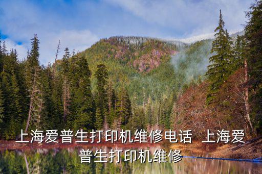 上海愛普生打印機維修電話  上海愛普生打印機維修