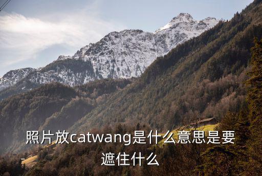 照片放catwang是什么意思是要遮住什么