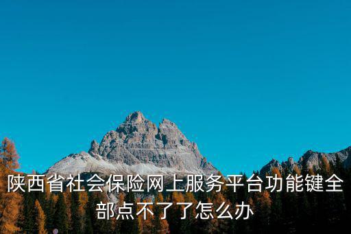 陜西省社會保險網上服務平臺功能鍵全部點不了了怎么辦