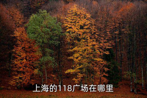 上海的118廣場在哪里