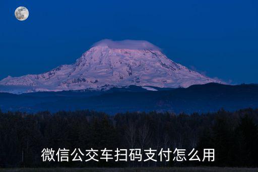 微信公交車掃碼支付怎么用