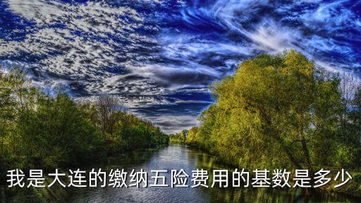 我是大連的繳納五險費用的基數是多少