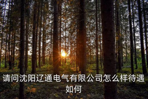 遼通，遼通是什么 地方
