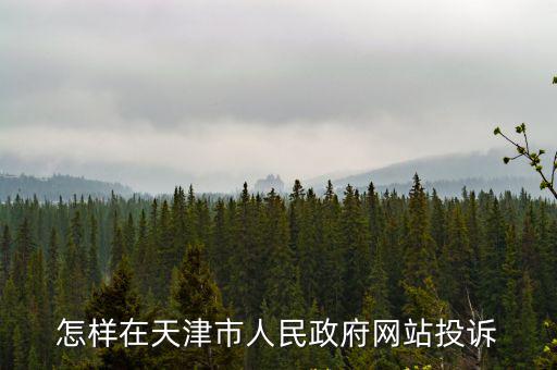 怎樣在天津市人民政府網站投訴