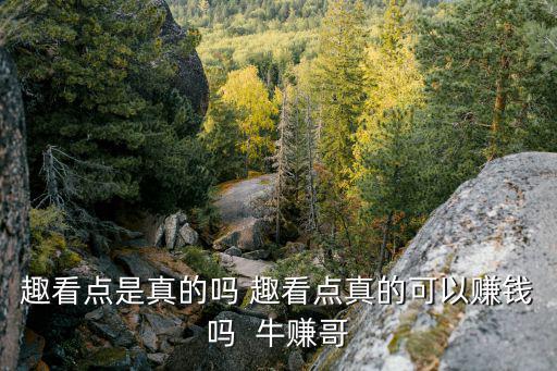 趣看點(diǎn)是真的嗎 趣看點(diǎn)真的可以賺錢(qián)嗎  牛賺哥
