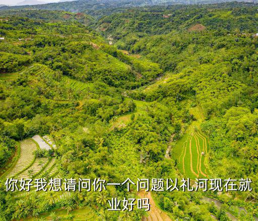 你好我想請問你一個問題以禮河現在就業好嗎