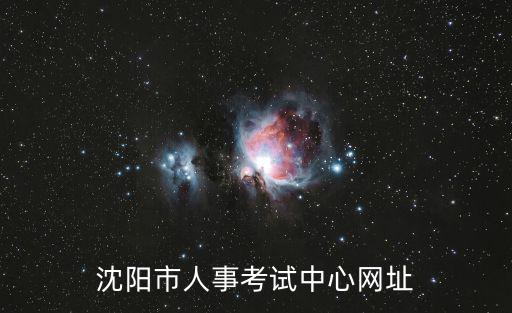 沈陽市人事考試中心網(wǎng)址
