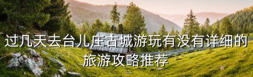 過幾天去臺兒莊古城游玩有沒有詳細的旅游攻略推薦