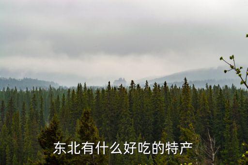 東北有什么好吃的特產