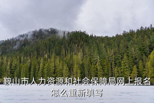 鞍山市人力資源和社會(huì)保障局網(wǎng)上報(bào)名怎么重新填寫(xiě)