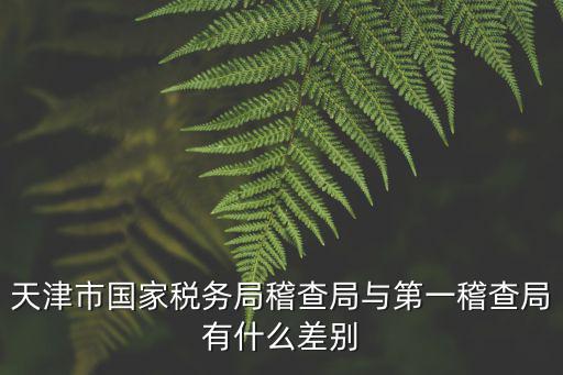 天津市國家稅務(wù)局，天津市國家稅務(wù)局通用定額發(fā)票 什么資格可以開
