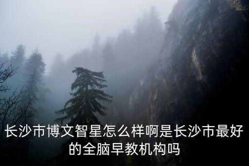 博文智星，博文智星做了多長時間了