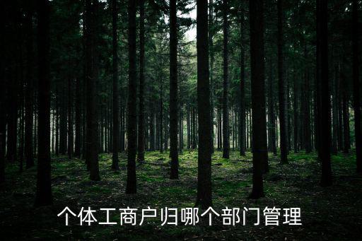 個體工商戶歸哪個部門管理