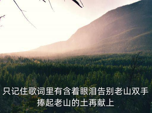 只記住歌詞里有含著眼淚告別老山雙手捧起老山的土再獻上