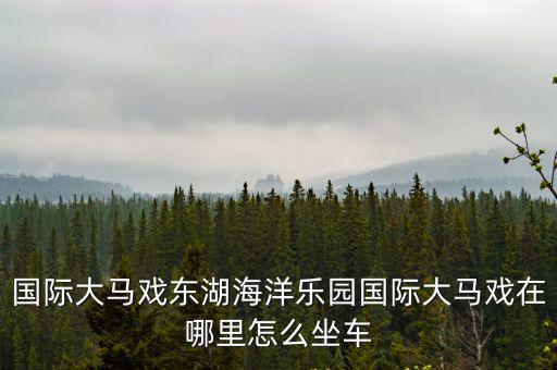 國際大馬戲東湖海洋樂園國際大馬戲在哪里怎么坐車