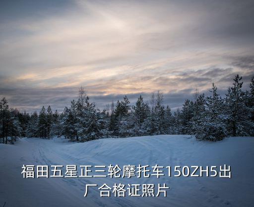 福田五星正三輪摩托車150ZH5出廠合格證照片