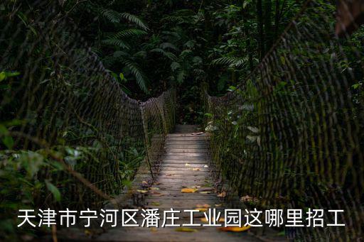 天津市寧河區潘莊工業園這哪里招工