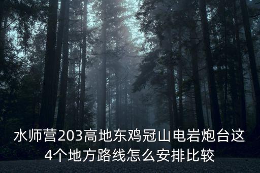 水師營203高地東雞冠山電巖炮臺(tái)這4個(gè)地方路線怎么安排比較
