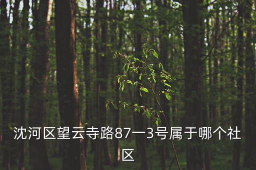 沈河區(qū)望云寺路87一3號(hào)屬于哪個(gè)社區(qū)