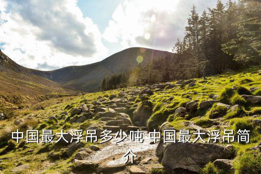 浮吊船，中國(guó)最大浮吊多少噸 中國(guó)最大浮吊簡(jiǎn)介