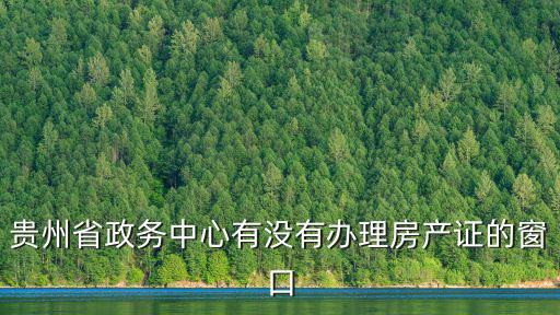 貴州省政務中心有沒有辦理房產證的窗口