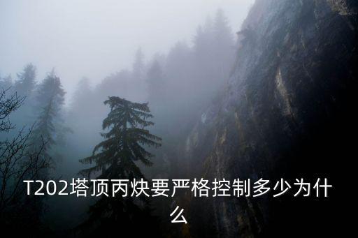 T202塔頂丙炔要嚴格控制多少為什么