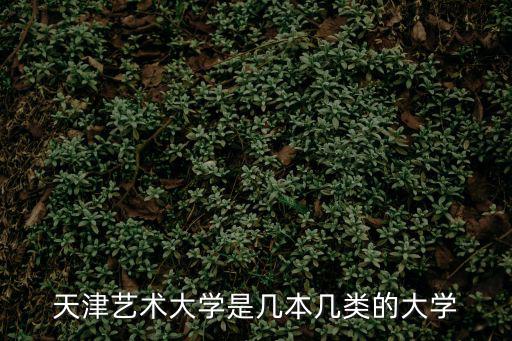 天津藝術大學是幾本幾類的大學