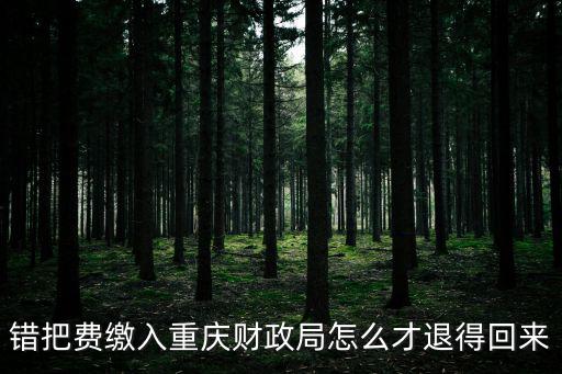 重慶市財政局，重慶財政局地址