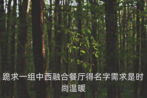 跪求一組中西融合餐廳得名字需求是時尚溫暖