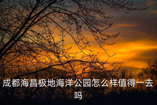 成都海昌極地海洋公園怎么樣值得一去嗎
