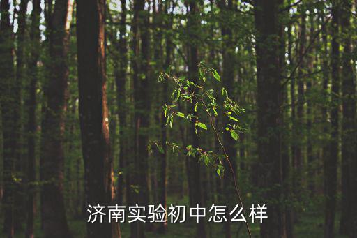 濟南實驗初中怎么樣