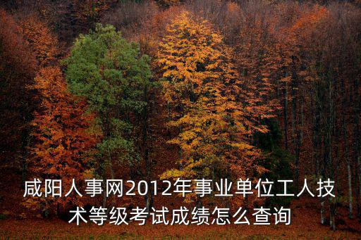 咸陽人事網2012年事業單位工人技術等級考試成績怎么查詢