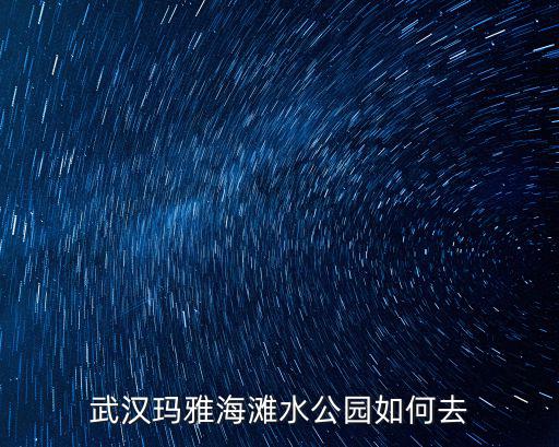 武漢瑪雅海灘水公園如何去
